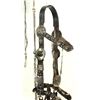Image 3 : Phenomenal Mexican Silver Bridle and Bit