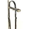 Image 4 : Mexican Silver Bridle