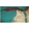Image 2 : White Angora Chaps