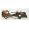 Image 2 : Wonderful C.P. Shipley Spurs