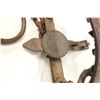 Image 2 : Newhouse #5 Trap