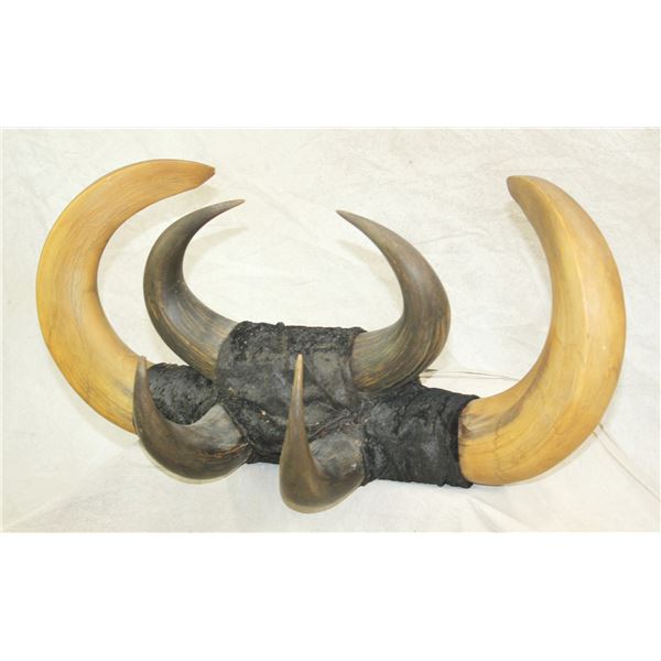 Horn Hat Rack