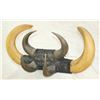 Image 1 : Horn Hat Rack