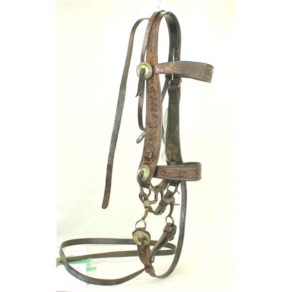 Phenomenal Miles City Saddlery Bridle