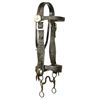 Image 1 : Crockett Marked Bridle
