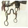 Image 2 : Crockett Marked Bridle