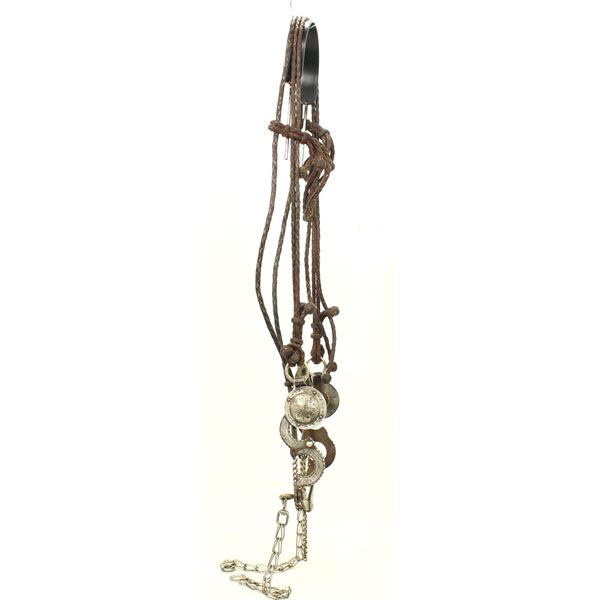 Wonderful Braided Leather Bridle and Bit