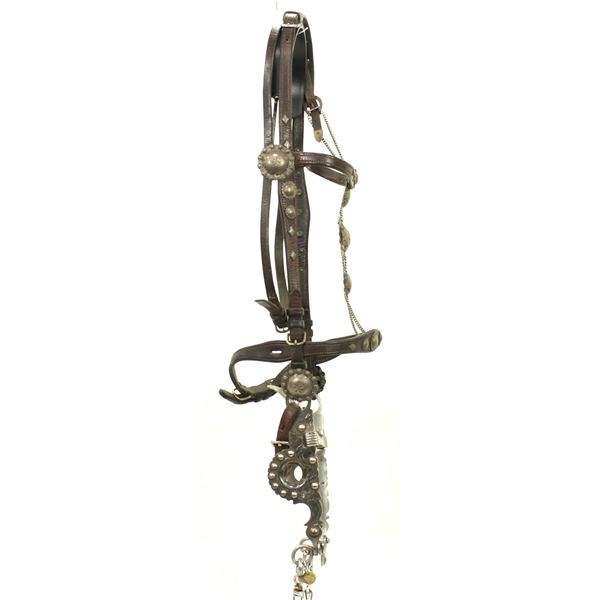 Silver Mounted Bridle