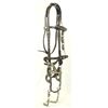 Image 2 : Silver Mounted Bridle