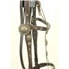 Image 4 : Silver Mounted Bridle
