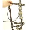 Image 5 : Silver Mounted Bridle