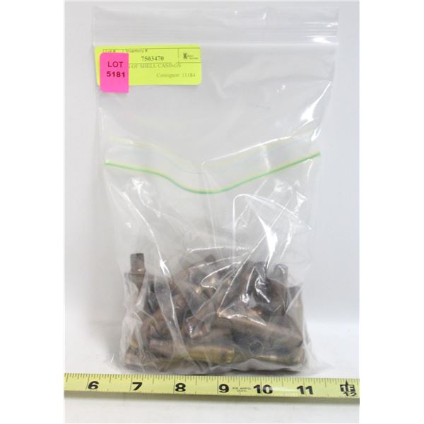 MIX BAG OF SHELL CASINGS