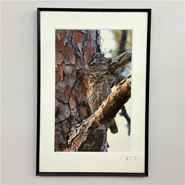 E. C. Signed Great Horned Owl, Limited Edition Color Photograph, 5/50, 2000