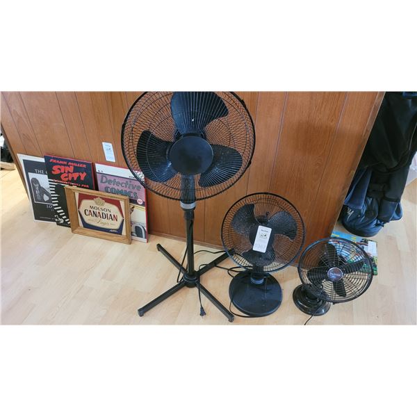 Fans B
