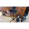 Image 1 : Fans B