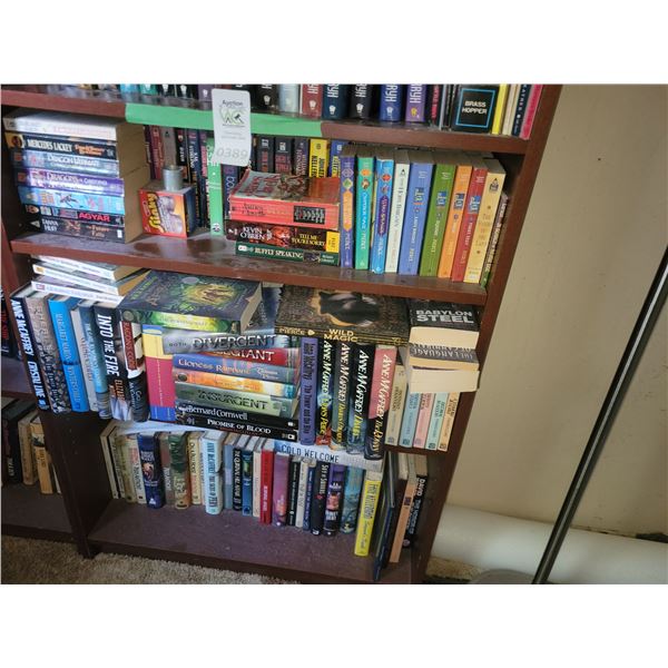 3 Shelves of Books B
