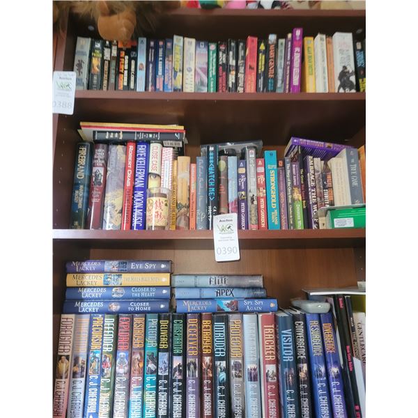 3 Shelves of Books B