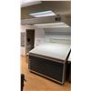 Image 2 : MEGA STAHL BLUEPRINT/DRAFTING TABLE WITH CABINET AND OVERHEAD LIGHT