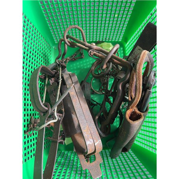 Metal Animal Traps Collection