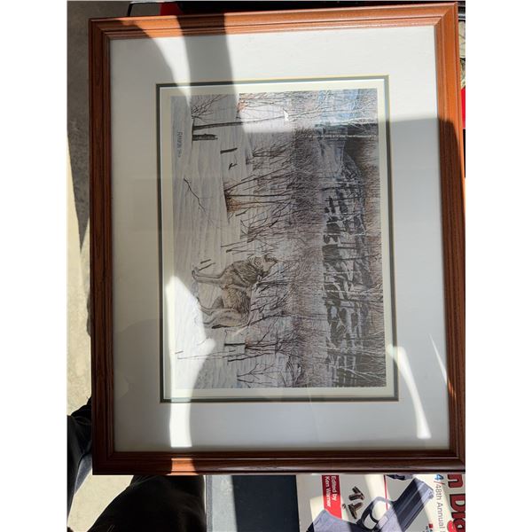 Framed Print of Winter Wilderness Scene