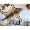 Image 1 : Taxidermy Wolf Rug with Open Mouth