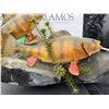 Image 5 : Perch Fish Taxidermy Duo on Decorative Base