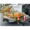 Image 6 : Perch Fish Taxidermy Duo on Decorative Base