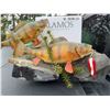 Image 7 : Perch Fish Taxidermy Duo on Decorative Base
