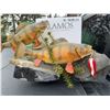 Image 9 : Perch Fish Taxidermy Duo on Decorative Base
