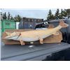 Image 2 : Taxidermy Northern Pike on Wood Plaque