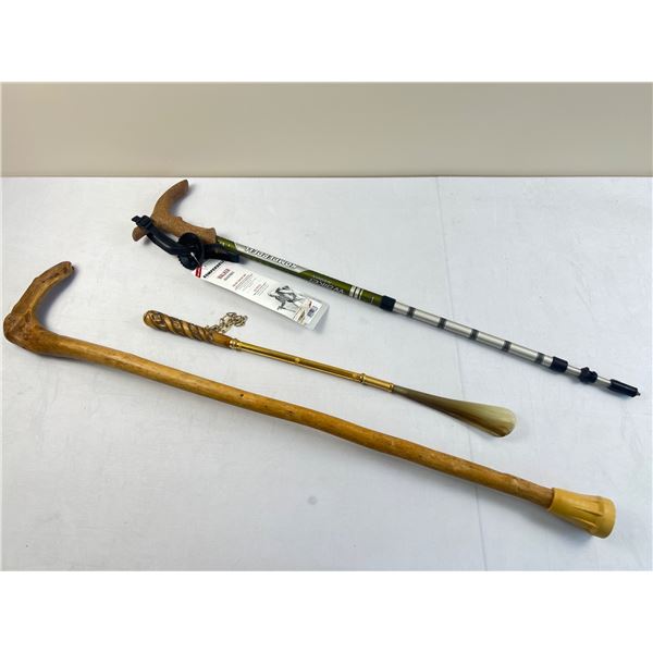 Walking Sticks & More