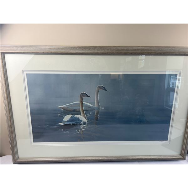 Swan Art Print by T. Isaac 89'