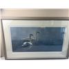 Image 1 : Swan Art Print by T. Isaac 89'