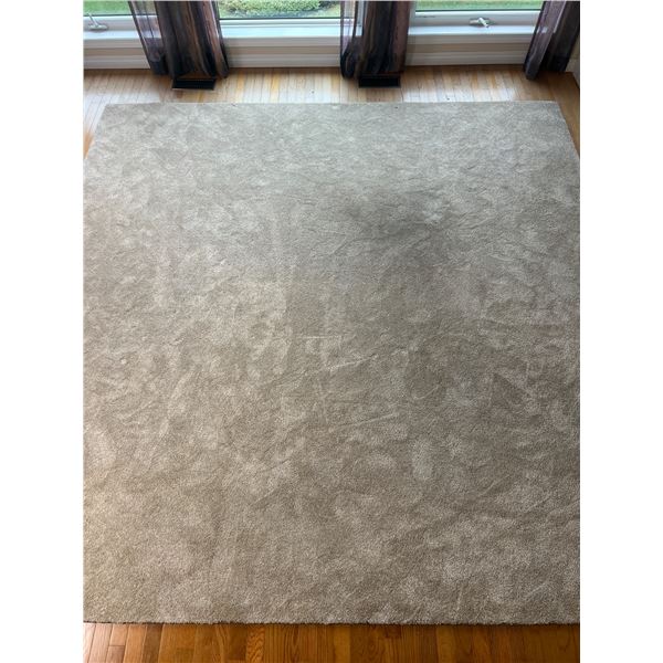 Large Area Rug