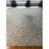 Image 1 : Large Area Rug