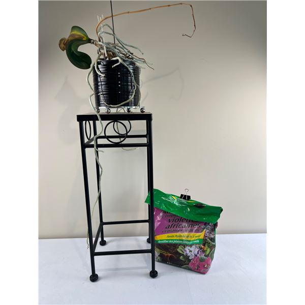 Potted Orchid with Plant Stand
