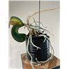 Image 4 : Potted Orchid with Plant Stand
