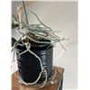 Image 5 : Potted Orchid with Plant Stand