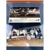 Image 3 : Edmonton Northlands Freightliner Posters