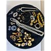 Image 1 : Costume Jewelry Lot