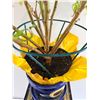 Image 3 : Potted House Plant & Stand