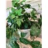 Image 2 : Faux Potted Plants