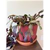 Image 3 : Potted House Plants & Stand
