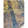 Image 8 : Antique Canvas Paintings