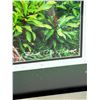 Image 3 : Vibrant Wall Art