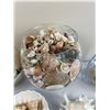 Image 3 : Oceanlife Decor