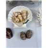 Image 4 : Oceanlife Decor