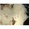 Image 9 : Metallic Servingware