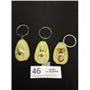 Image 1 : Lot of 3 Vintage Tear Drop Shaped Keychains w/ Insects Inside