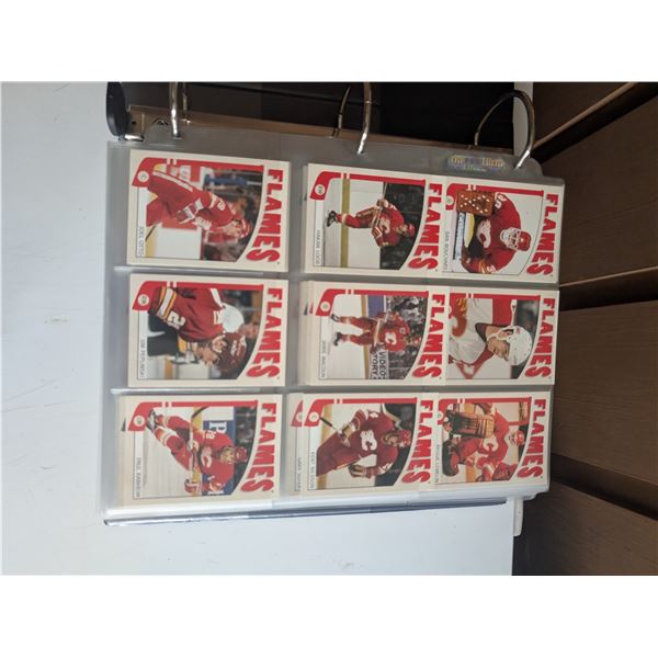 Binder of Misc Hockey Cards, In the Game etc